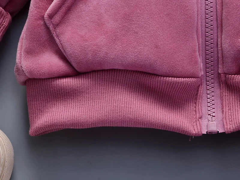 Warm Baby Girls Clothing Set Winter Thick Plush Cotton Clothing Sets For Baby Girls Hoodies And Pants Kids Suit Children Clothes