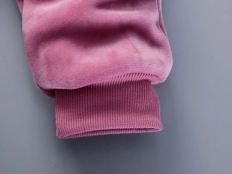 Warm Baby Girls Clothing Set Winter Thick Plush Cotton Clothing Sets For Baby Girls Hoodies And Pants Kids Suit Children Clothes - Namma Angadi