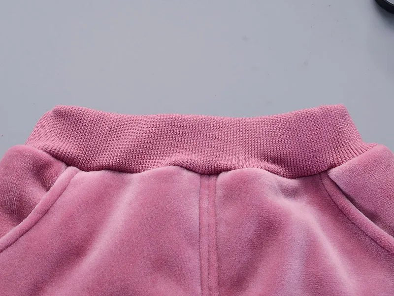 Warm Baby Girls Clothing Set Winter Thick Plush Cotton Clothing Sets For Baby Girls Hoodies And Pants Kids Suit Children Clothes - Namma Angadi