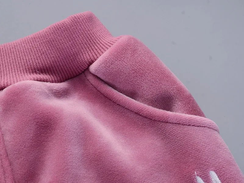 Warm Baby Girls Clothing Set Winter Thick Plush Cotton Clothing Sets For Baby Girls Hoodies And Pants Kids Suit Children Clothes - Namma Angadi