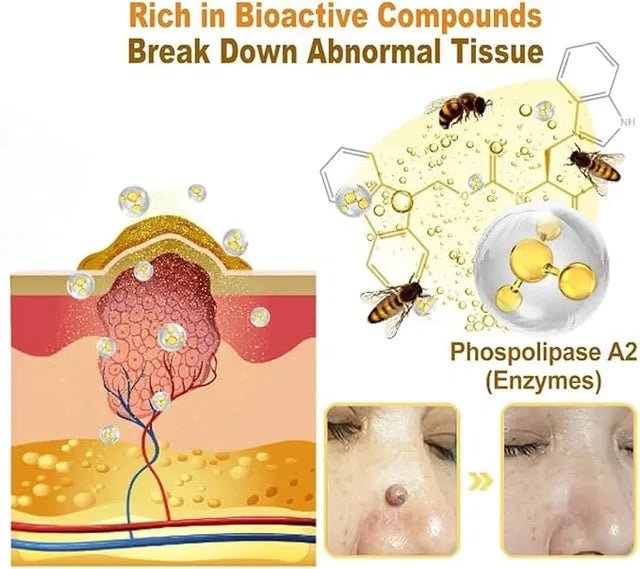 Zidella Skin Lighting Blemish Cream 50g (Pack of 2) - Namma Angadi